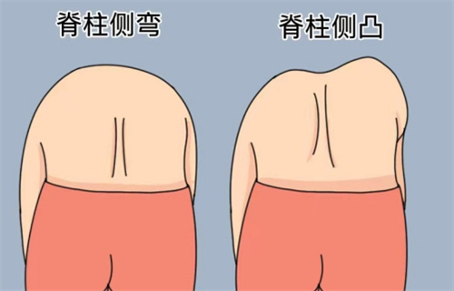 日本干细胞项目深度测评:再生成果/靠谱程度/体验感全解析