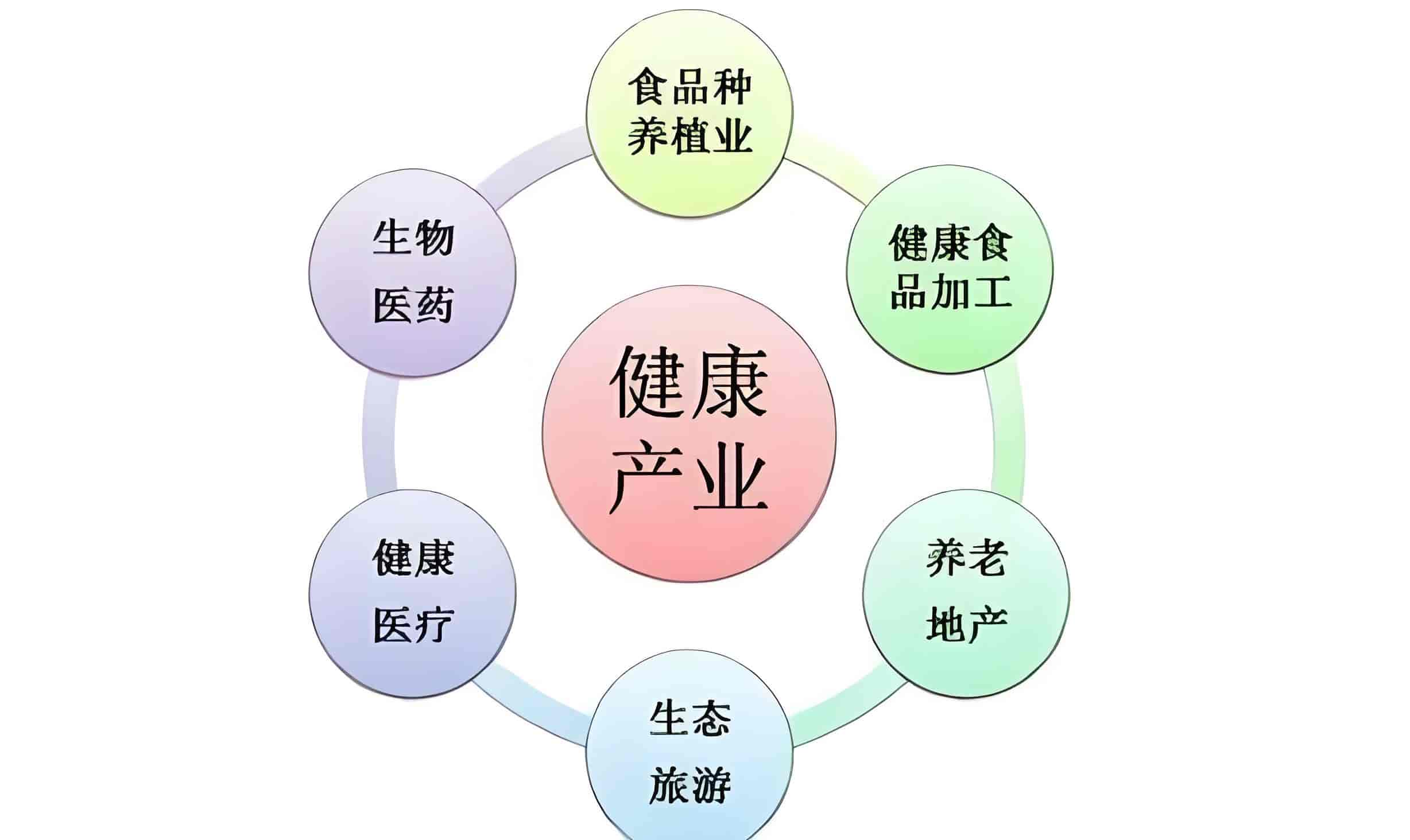 大健康产业细分行业图