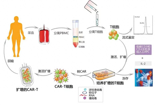 日本CART细胞疗法一针多少钱？价格是相当昂贵的一针百万日元
