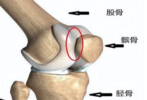 日本健康再生医院怎么样？做再生美容皮肤科 干细胞，纤维芽细胞等再生医疗相关项目技术很有名