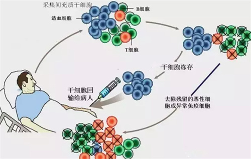 注射<span style=