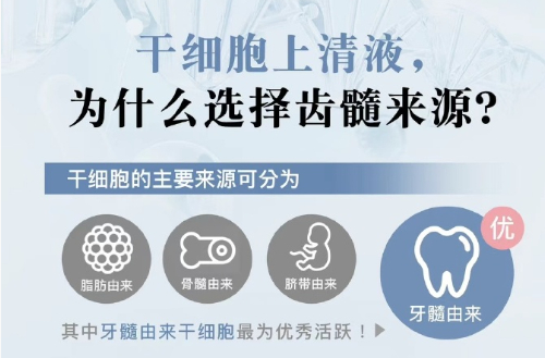 日本齿髓干细胞上清液是什么