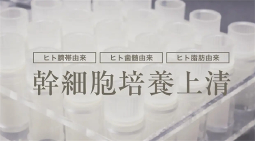 日本上清液培养