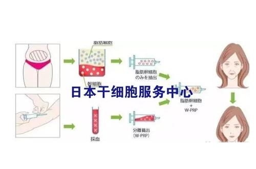 日本健康再生医院地址查询！含医院详细地址/诊疗特色/收费价目表等信息