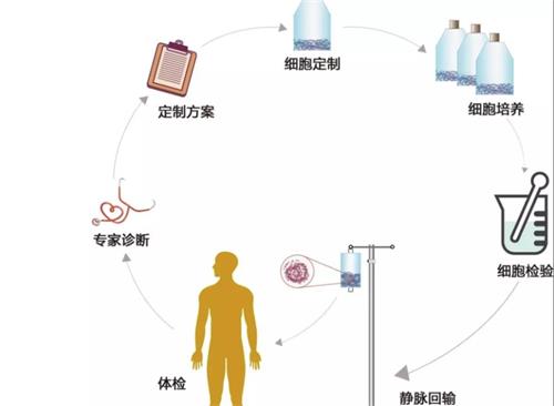 NK细胞疗法治疗过程