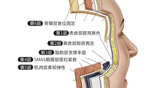 日本麻布台美容细胞诊所地址在哪里？位于东京都港区麻布台！营业时间：10:00～19:00 