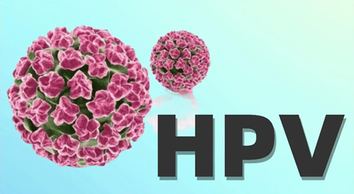 HPV病毒