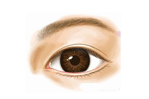 1760941593254503.jpg 1760941592503010.jpg