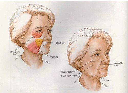 日本元麻布山丘医疗诊所咋样？体验感好+正规性好+技术好+口碑好