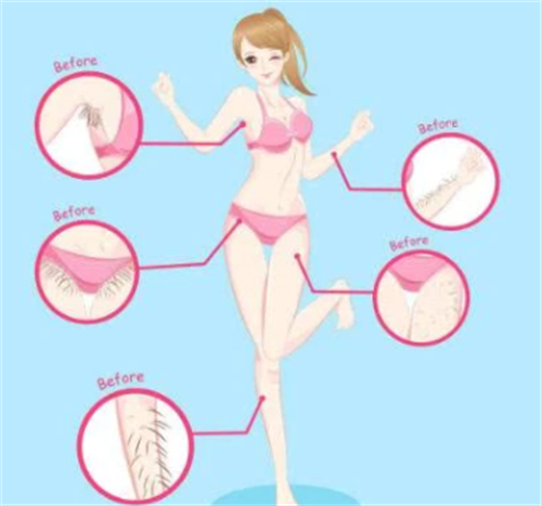 身上不同位置毛发生长 身上不同位置毛发生长