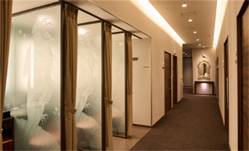 Noel诺埃尔银座美容医院怎么样？日本银座老牌医美|保志名院长领衔|口碑技术双在线