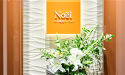 日本Noel诺埃尔银座美容医院logo墙 日本Noel诺埃尔银座美容医院logo墙