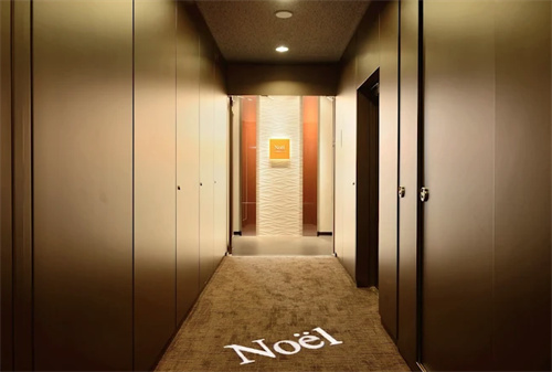 日本Noel诺埃尔银座美容医院 日本Noel诺埃尔银座美容医院